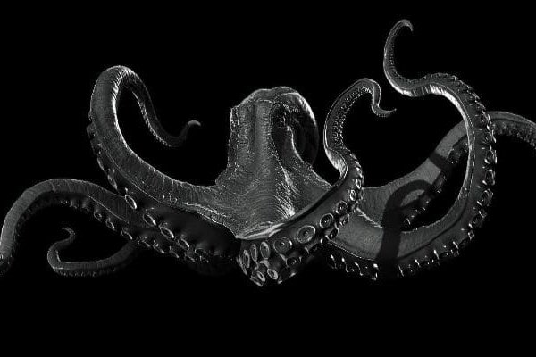 Kraken 19at